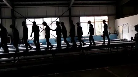 ISO 인증을 받은 식품 및 음료 산업을 위한 Hairise 직선 컨베이어 시스템